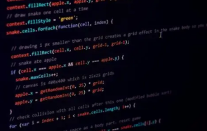 關(guān)于Gungho網(wǎng)站登錄后界面無(wú)反應(yīng)的應(yīng)對(duì)