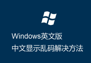 Windows英文版-運行程序-顯示界面中文亂碼的解決方法